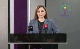 DEM Parti Sözcüsü Ayşegül Doğan: Buna kanacak Türkiyeli de Kürt de yok bu ülkede