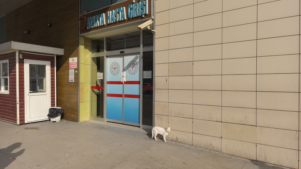 Bursa’da bacağı kırılan kedi, hastanenin acil servisine geldi