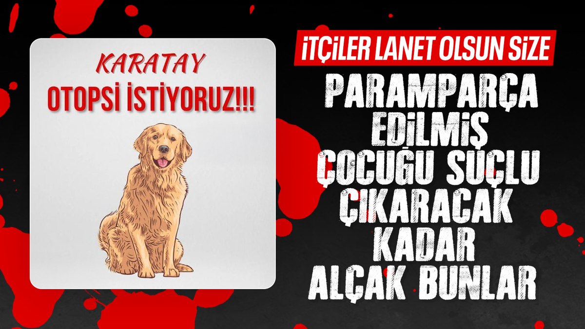 Konya’da köpeklerin saldırdığı Rana’nın otopsi raporu çıktı
